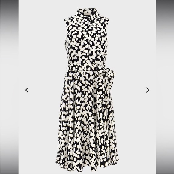 HOBBS London Belinda Contemporary Petal Print Fit & Flare Dress Size 12 Floral - Picture 4 of 13